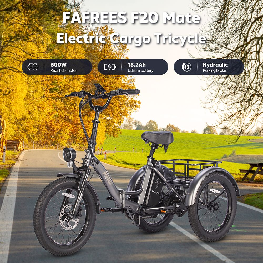 Elektrická trojkolka FAFREES F20 Mate